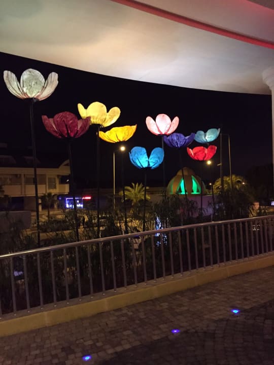 Ausblick Side Alegria Hotel & Spa - Adults only +16