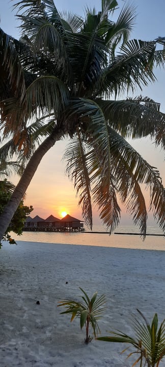 Ausblick Kuredu Island Resort & Spa