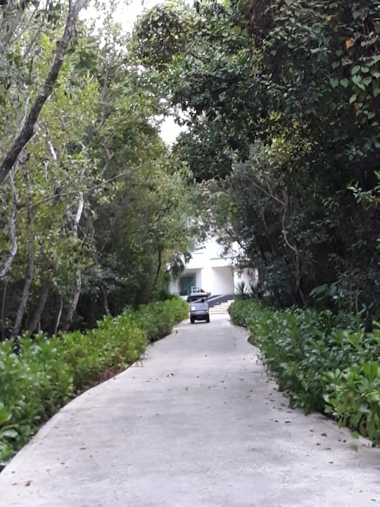 Gartenanlage BlueBay Grand Esmeralda