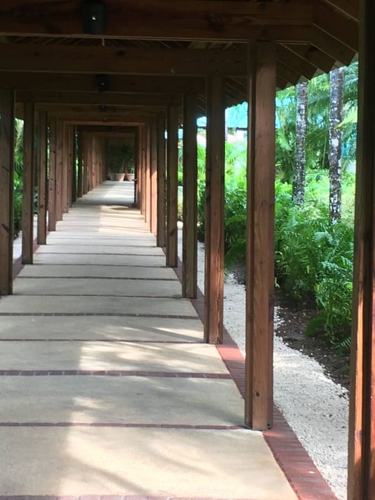 Gang Dreams La Romana Resort & Spa