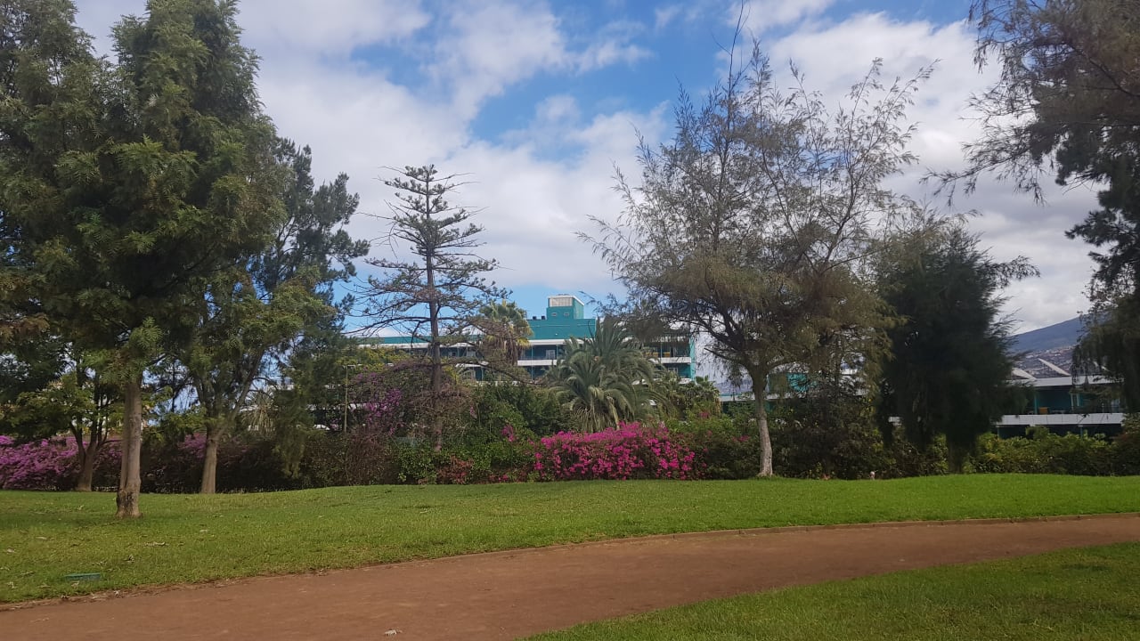 Gartenanlage TRH Taoro Garden