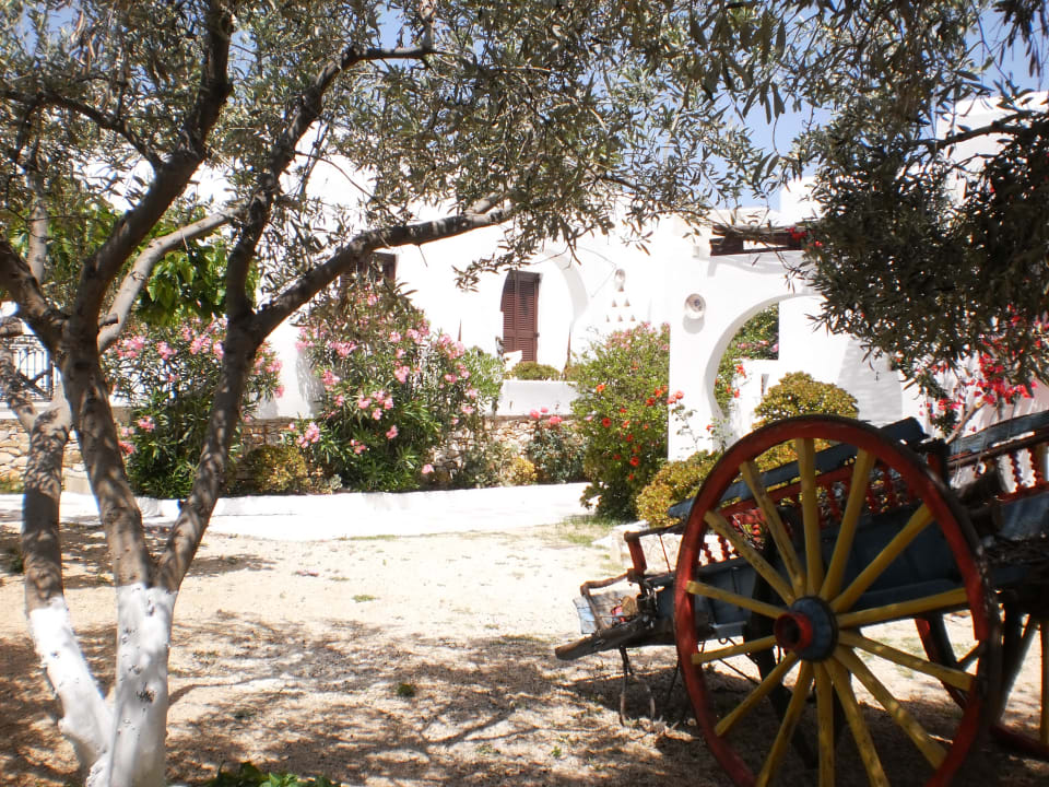 Gartenanlage Bungalows Svoronos