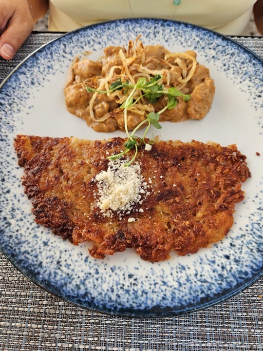 Gastro PALOMA Perissia