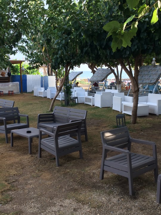 Gartenanlage Numa Bay Exclusive Hotel