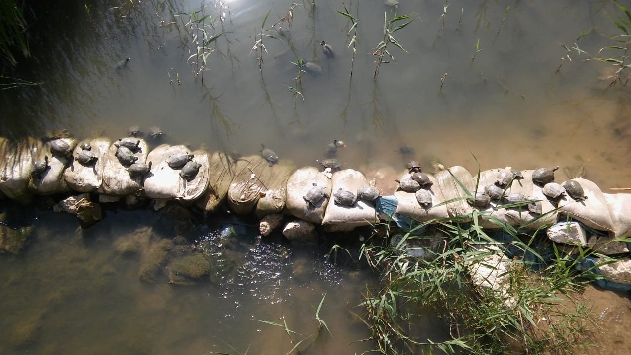 Strand Hotel Novum Garden Side