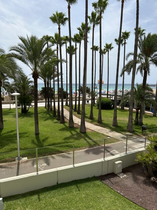 Gartenanlage Hipotels Mediterraneo Club