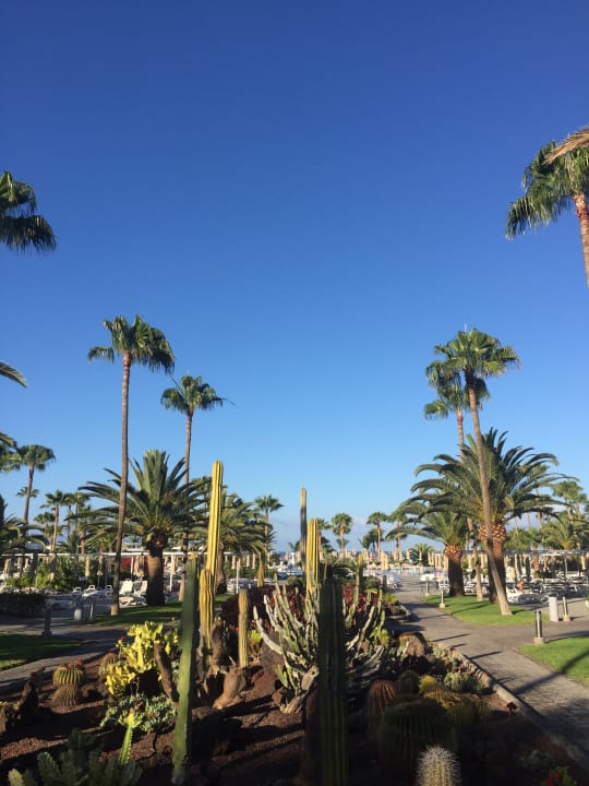 Gartenanlage Hotel Riu Gran Canaria