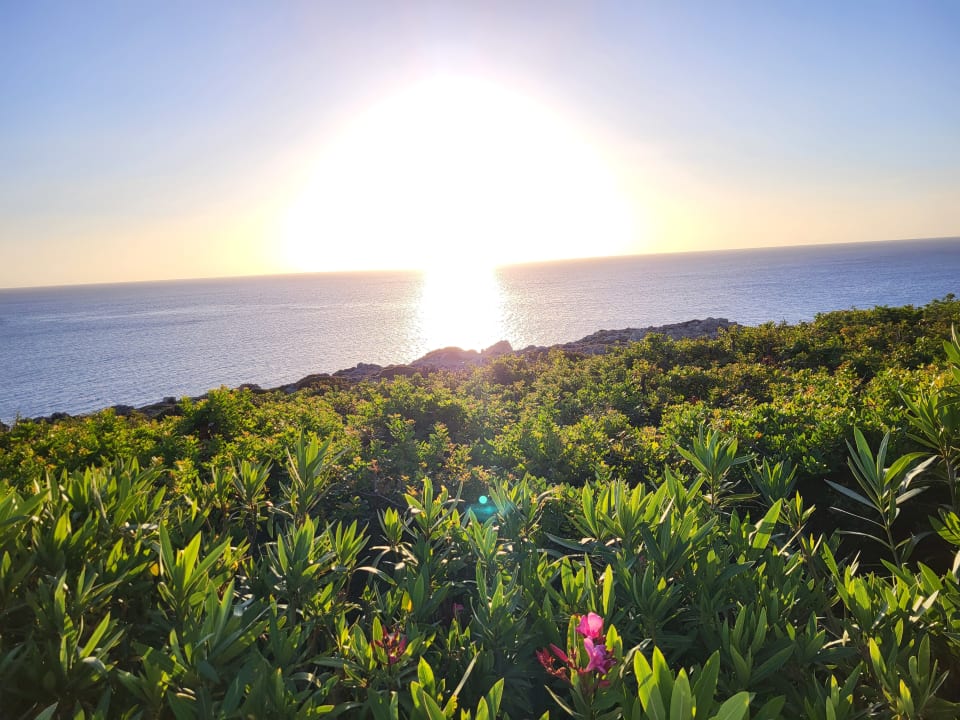 Gartenanlage Hotel Kalithea Horizon Royal