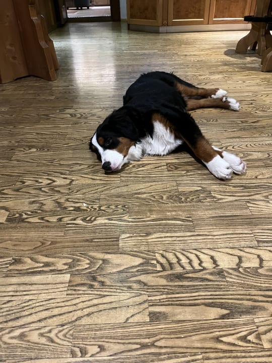 Sonstiges Hotel Strasserwirt Reiterhof