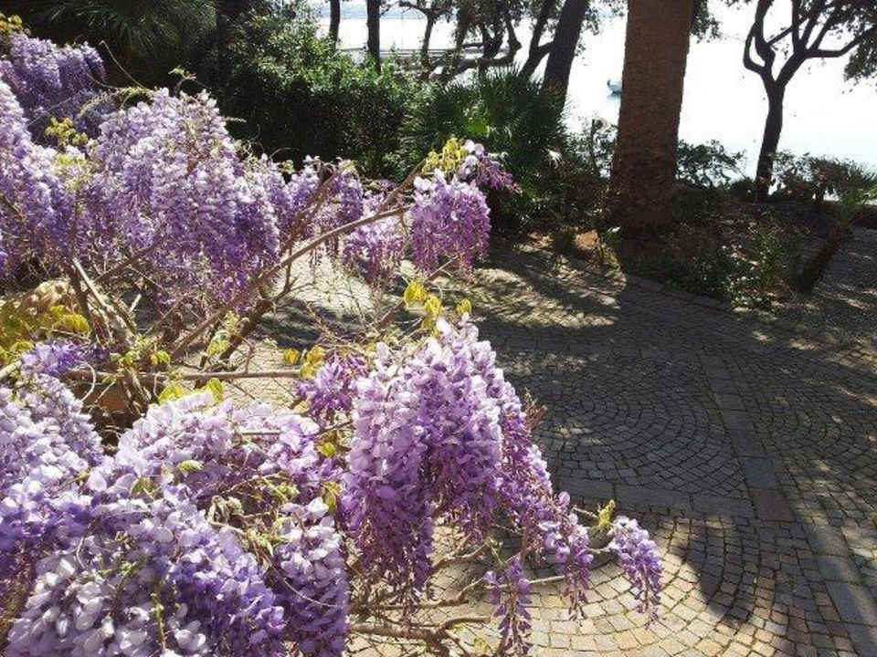 Giardino Hotel Miramare