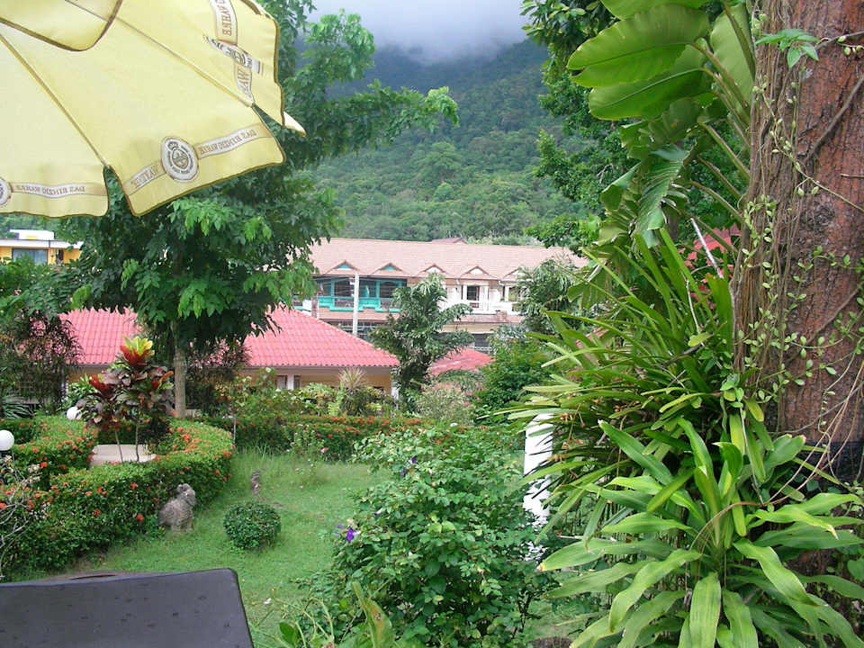 2010-ever come back  Hotel Top Resort