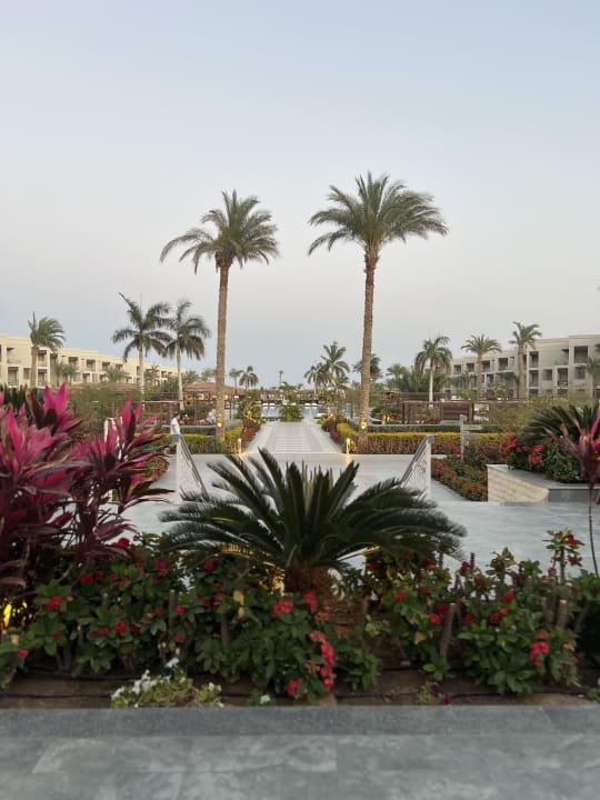 Gartenanlage Steigenberger Resort Ras Soma