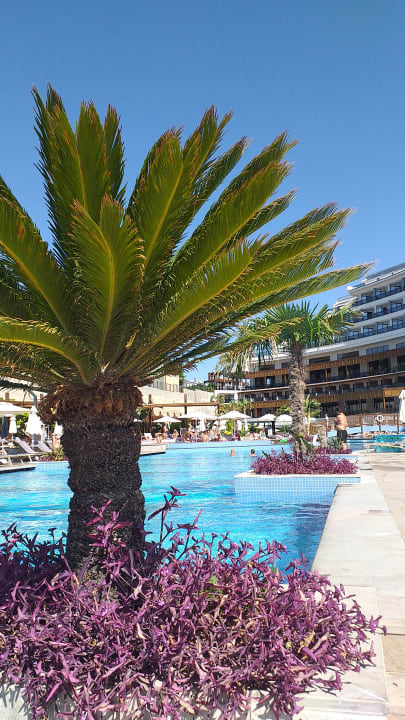 Pool Seaden Quality Resort & Spa