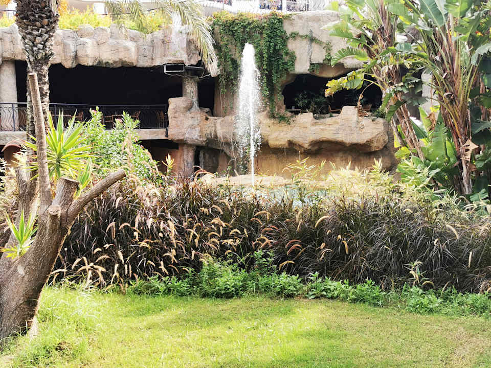 Gartenanlage Starlight Resort Hotel