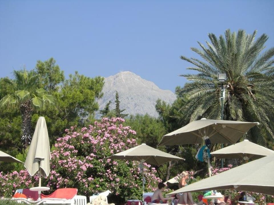 Ausblick Pirate's Beach Club