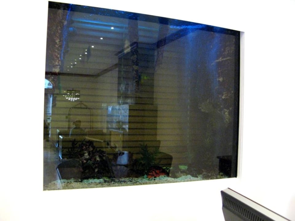 Aquarium in Lobby Hotel Ambassador