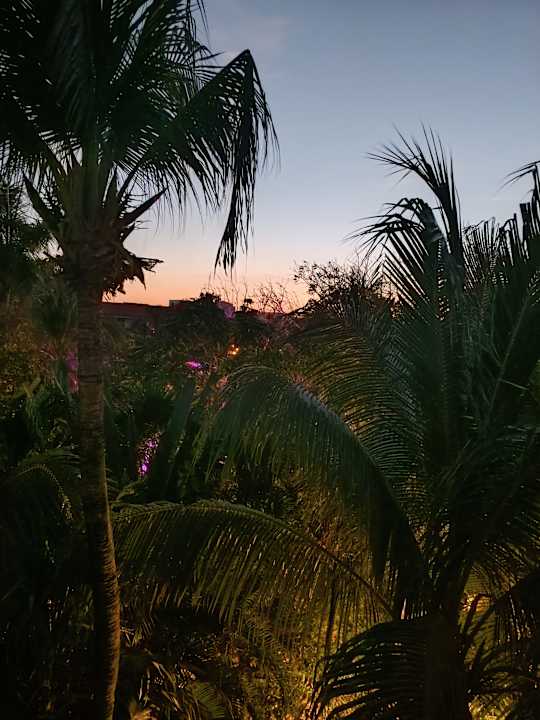 Zimmer Viva Azteca by Wyndham - All Inclusive Resort