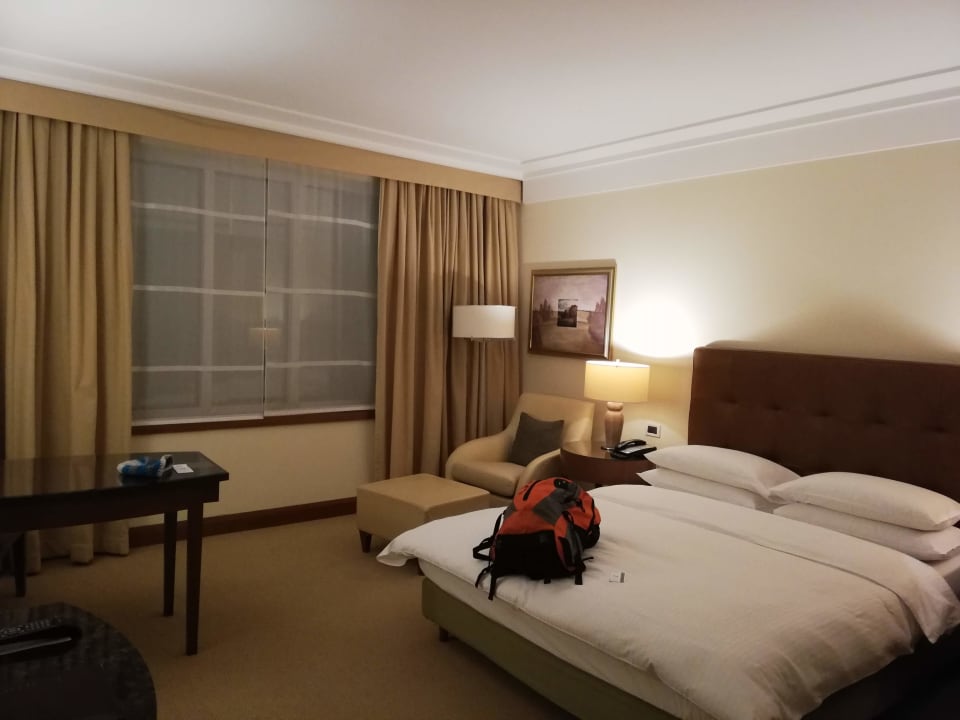 Zimmer Regent Warsaw Hotel