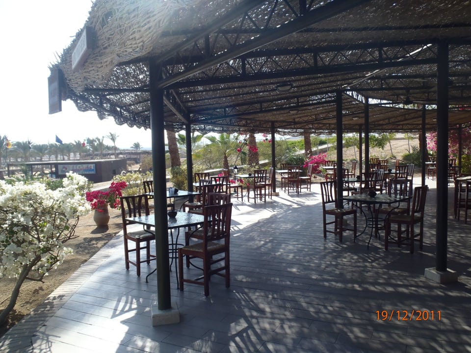 Beachbar Steigenberger Coraya Beach - Adults only