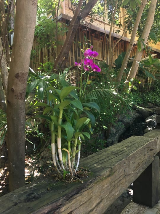 Gartenanlage Santhiya Koh Phangan Resort & Spa