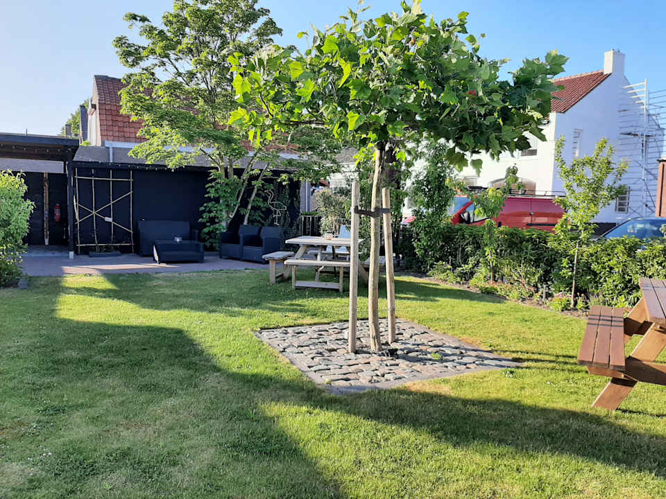 Gartenanlage Flamingo Studio's Zeeland