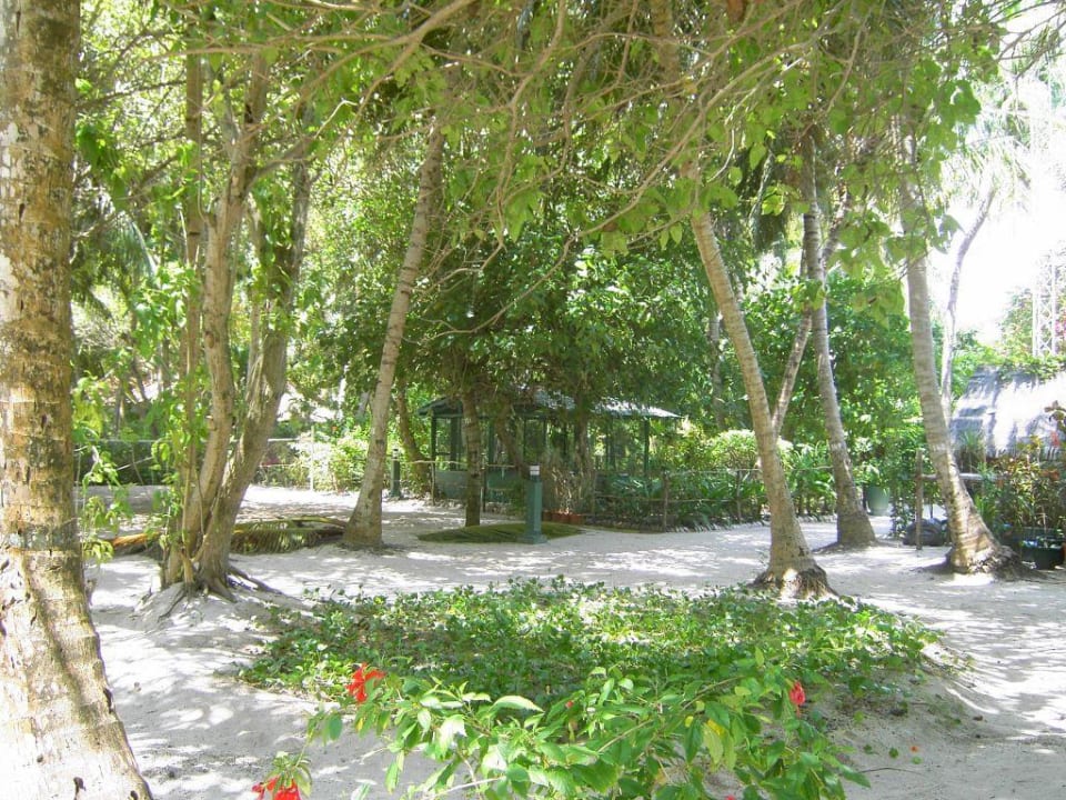 Inselinnere Summer Island Maldives