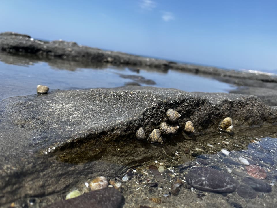 Strand Enorme Santanna Beach