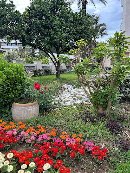 Gartenanlage Hotel Terrace Beach Resort