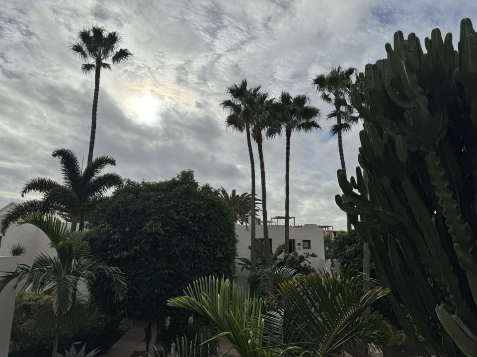 Ausblick Alua Suites Fuerteventura