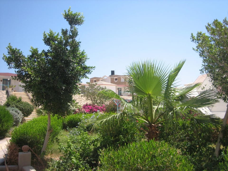 Gartenanlage Hotel Coral Garden