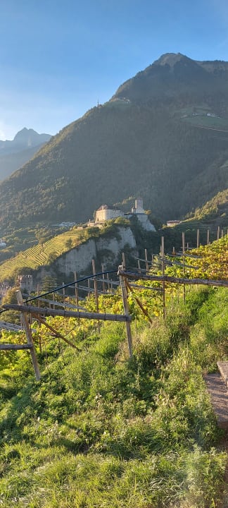 Ausblick Hotel Alpenhof
