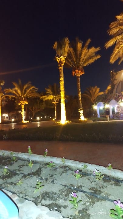 Gartenanlage Desert Rose