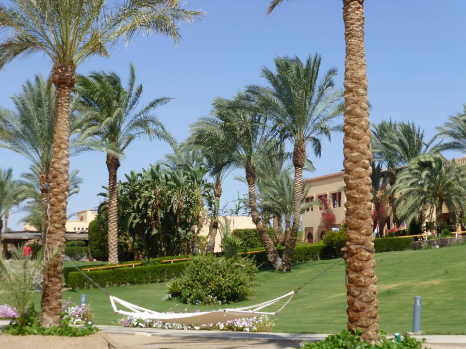 Relax Steigenberger Coraya Beach - Adults only