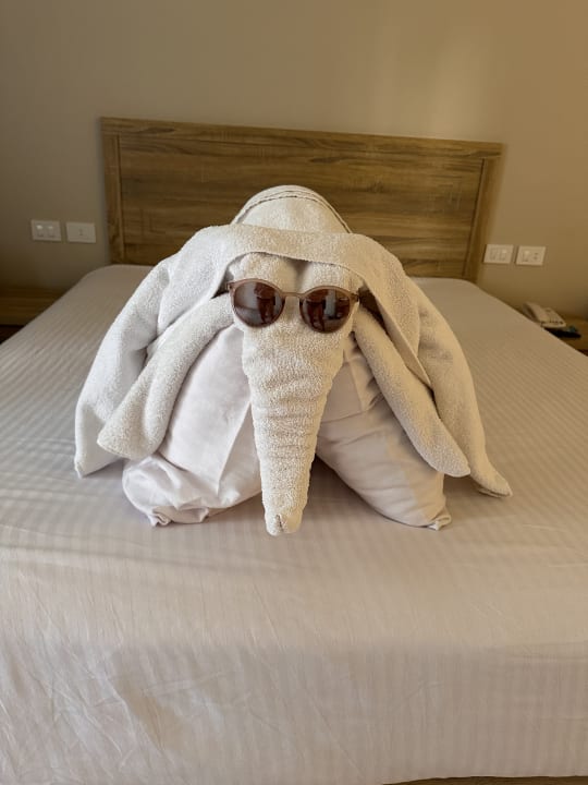 Sonstiges Three Corners Sea Beach Resort