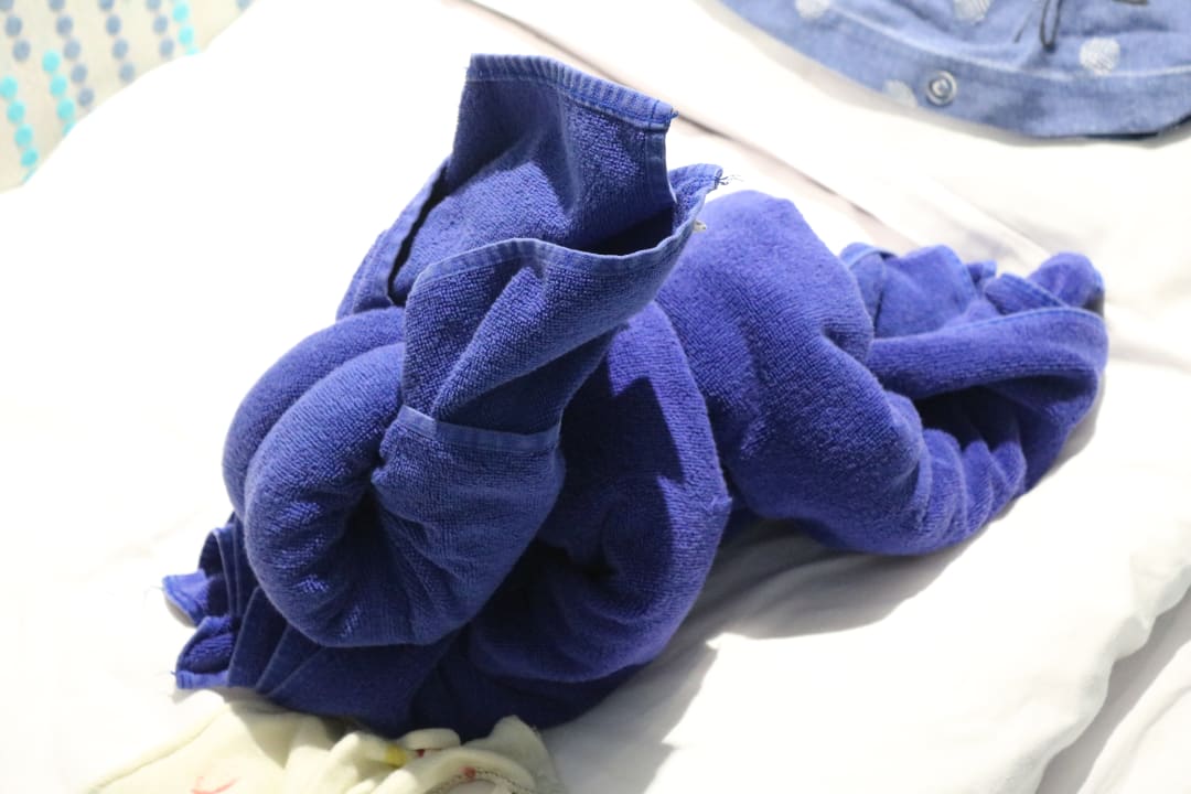 Zimmer Sentido Marea