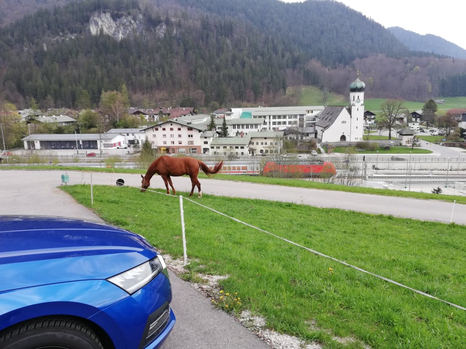 Ausblick Naturhotel Reissenlehen