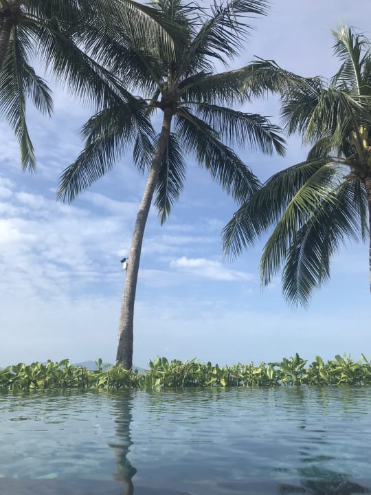 Zimmer NH Collection Samui Peace Resort