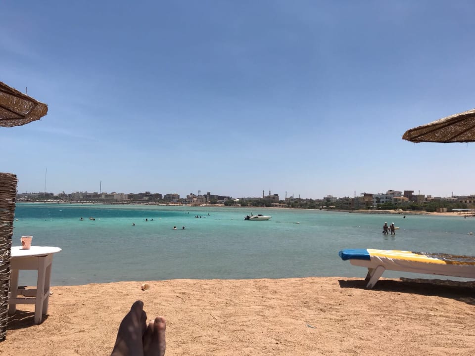 Strand Sea Star Beau Rivage