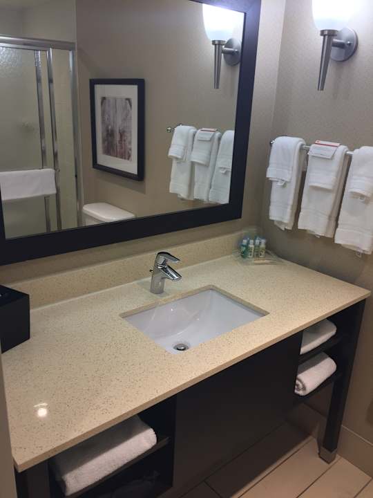 Zimmer Holiday Inn Charleston Historic Downtown