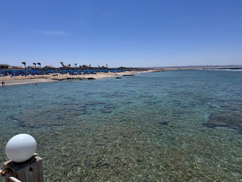 Pool Pickalbatros Sea World Resort - Marsa Alam