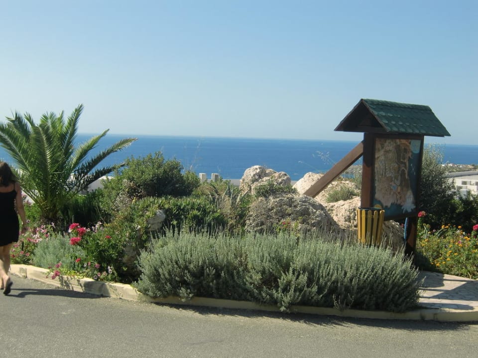 Gartenanlage mit Blick aufs Mittelmeer Hotel Kalithea Mare Palace