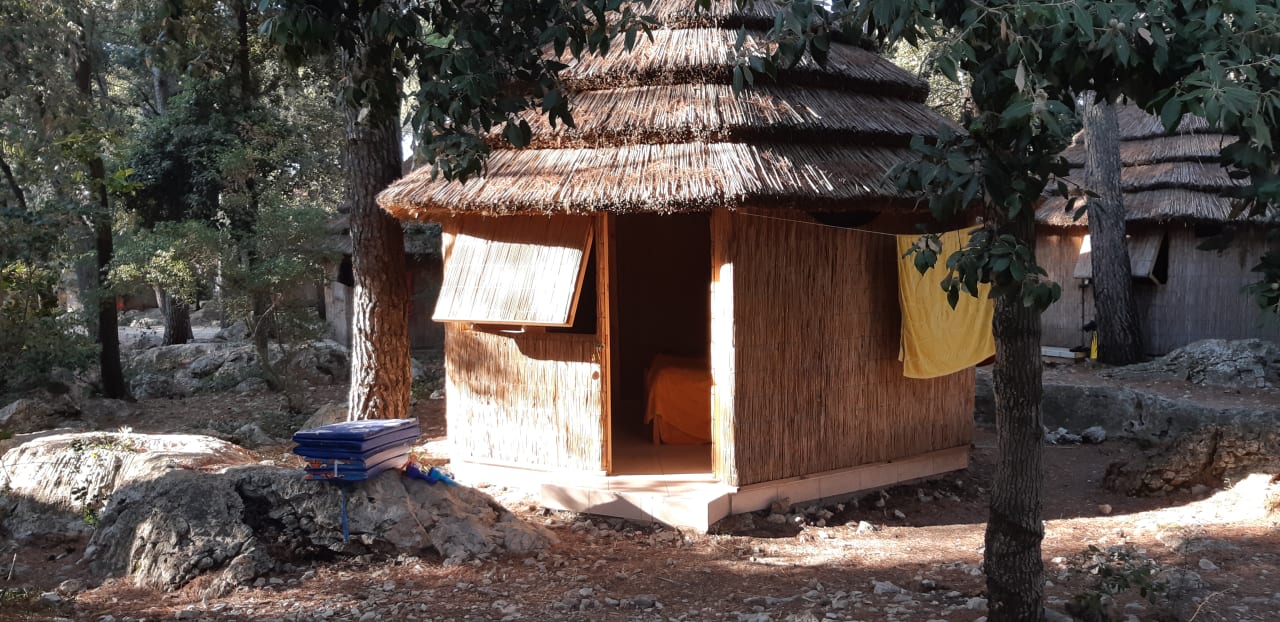 Zimmer Pine Beach Pakostane