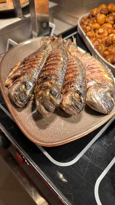 Gastro Acanthus Cennet Barut Collection