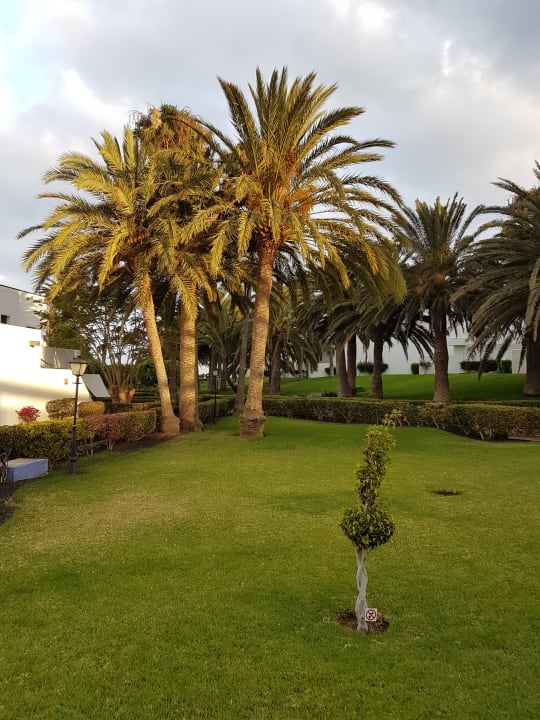 Gartenanlage Hotel Riu Paraiso Lanzarote