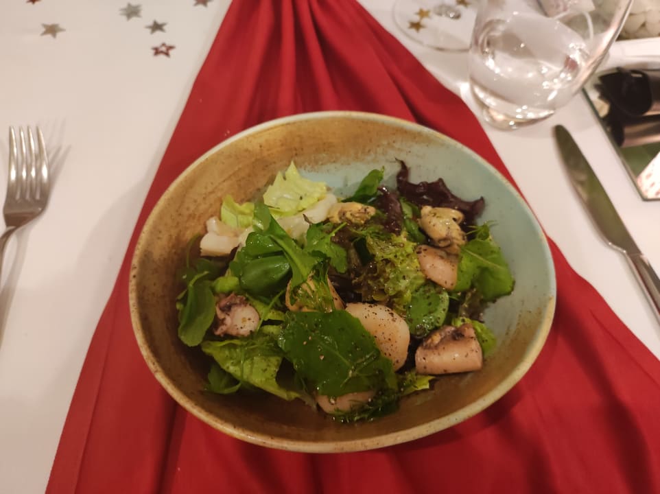 Gastro Acanthus Cennet Barut Collection