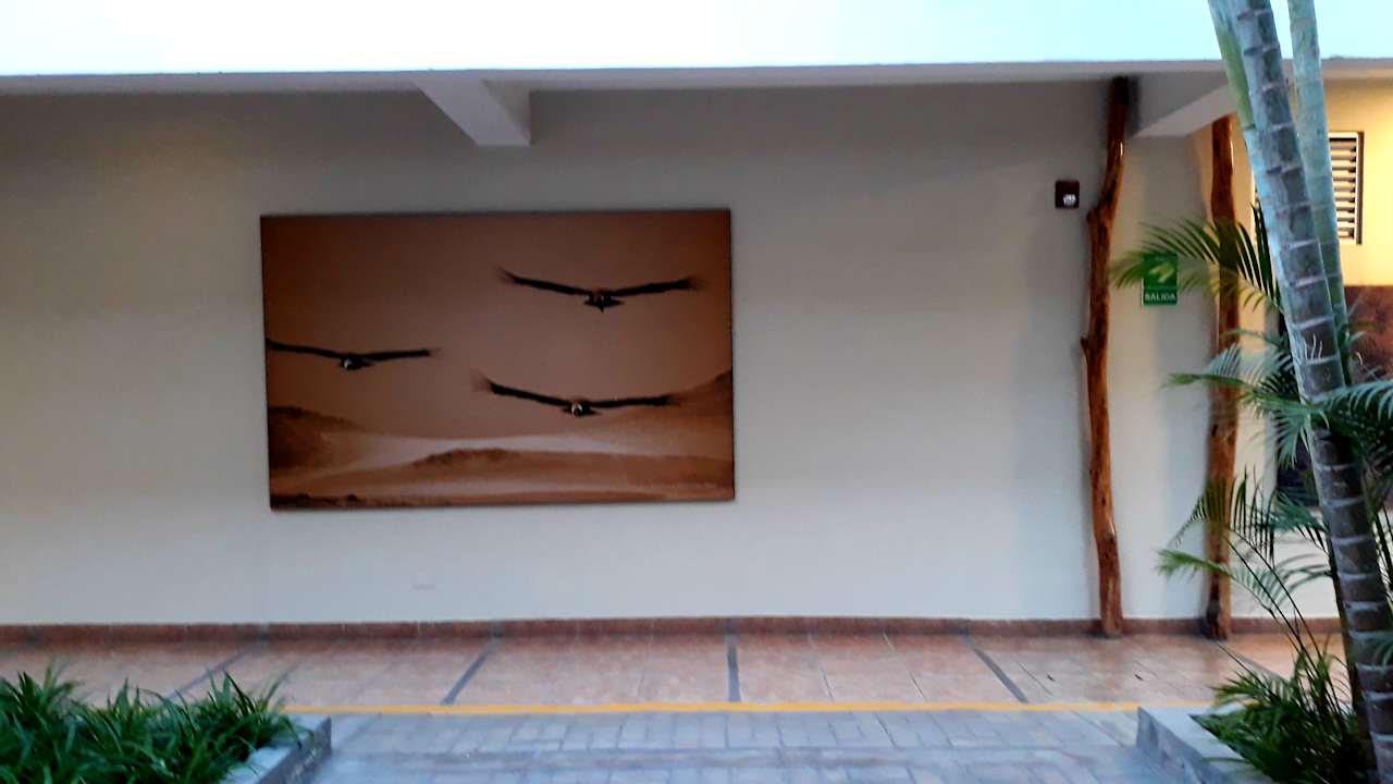 Lobby Hotel Casa Andina Nasca
