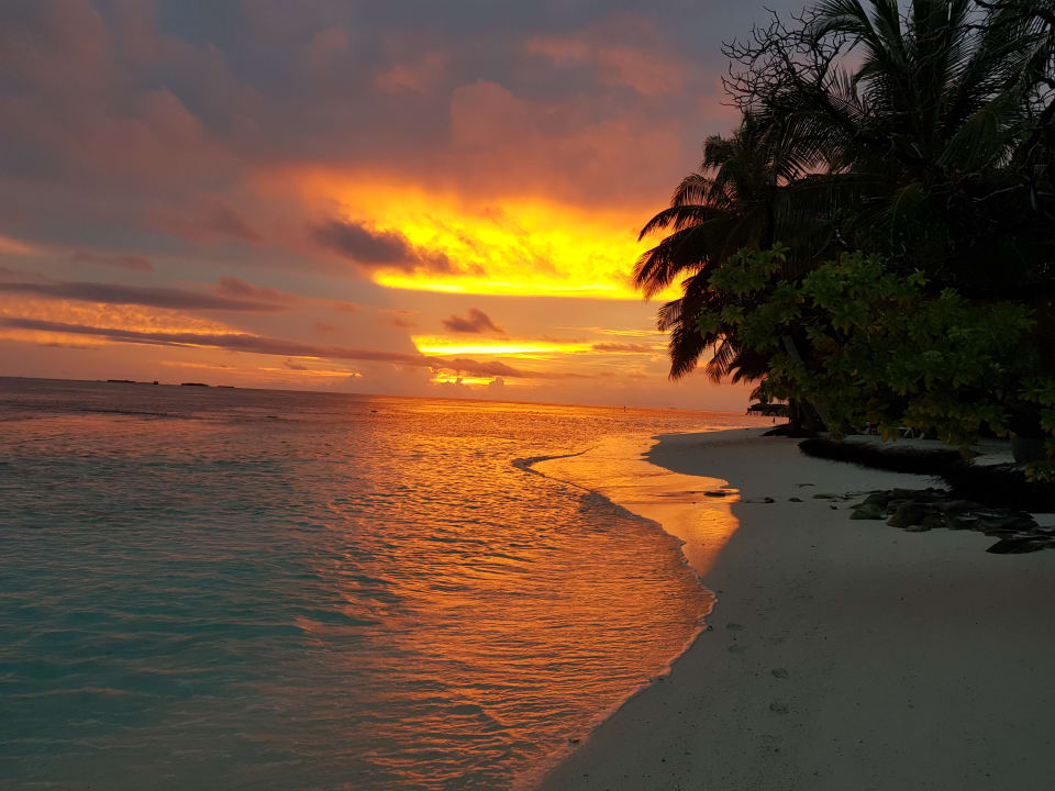 Strand Vilamendhoo Island Resort & Spa