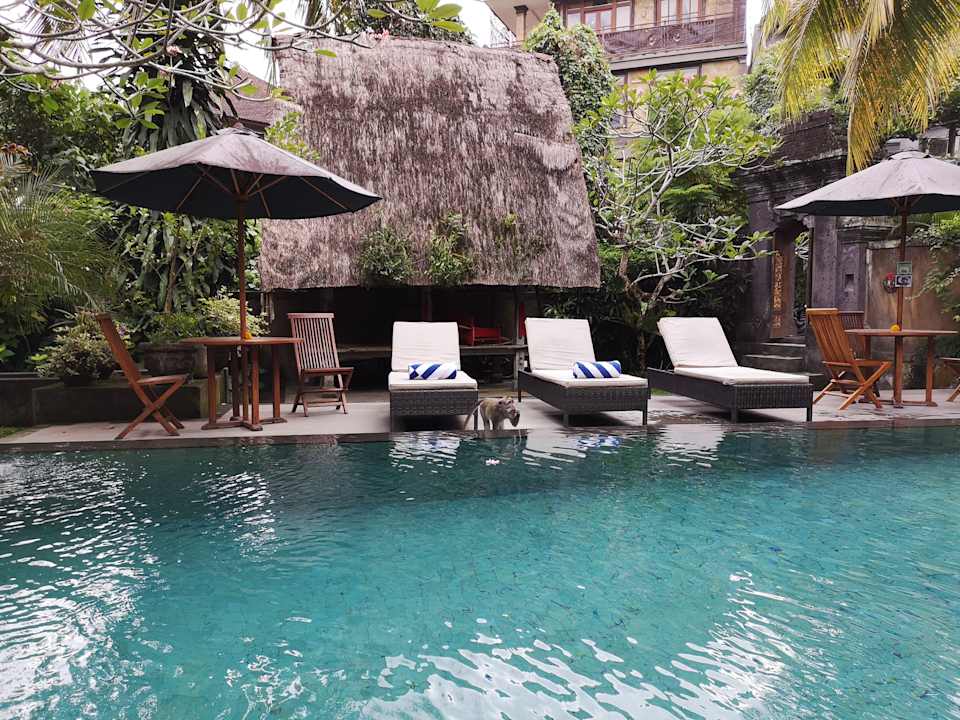 Pool Wenara Bali Bungalows