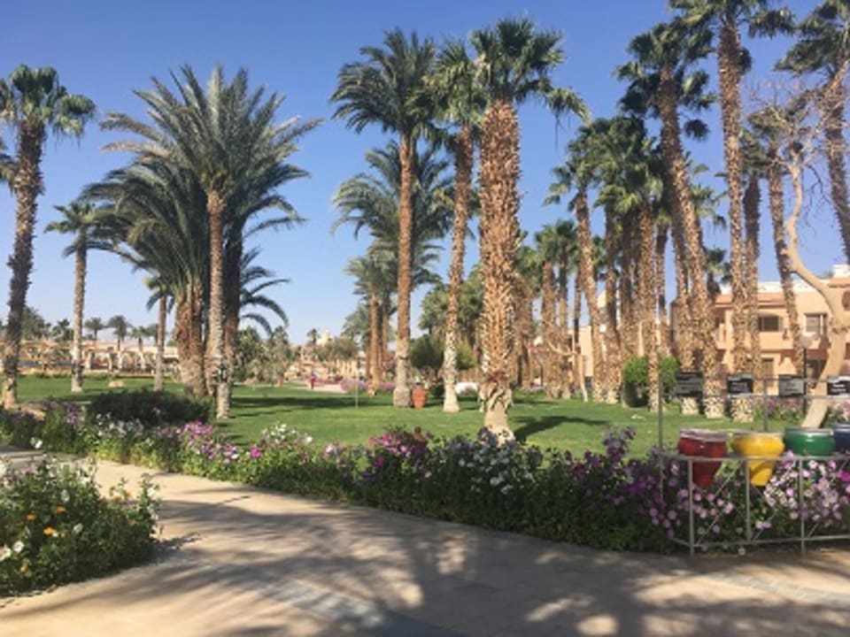 Außenansicht Beach Albatros Resort