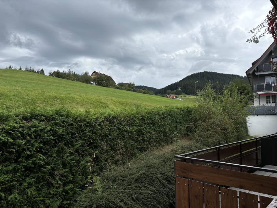 Ausblick Hotel Rosengarten